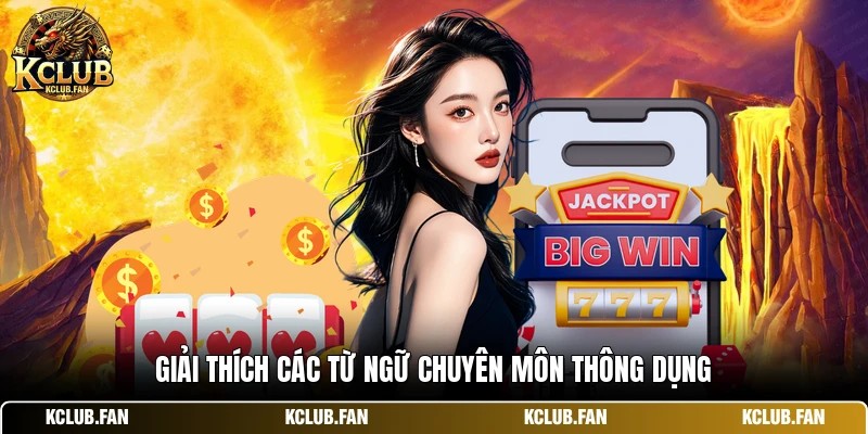 giai thich cac tu ngu chuyen mon thong dung Giải thích các từ ngữ chuyên môn thông dụng